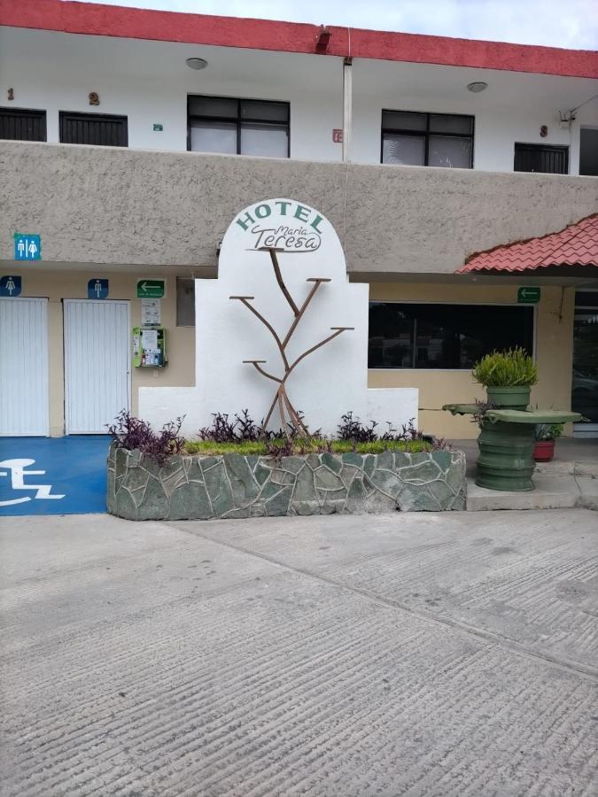 Hotel Maria Teresa Río Verde Exteriér fotografie